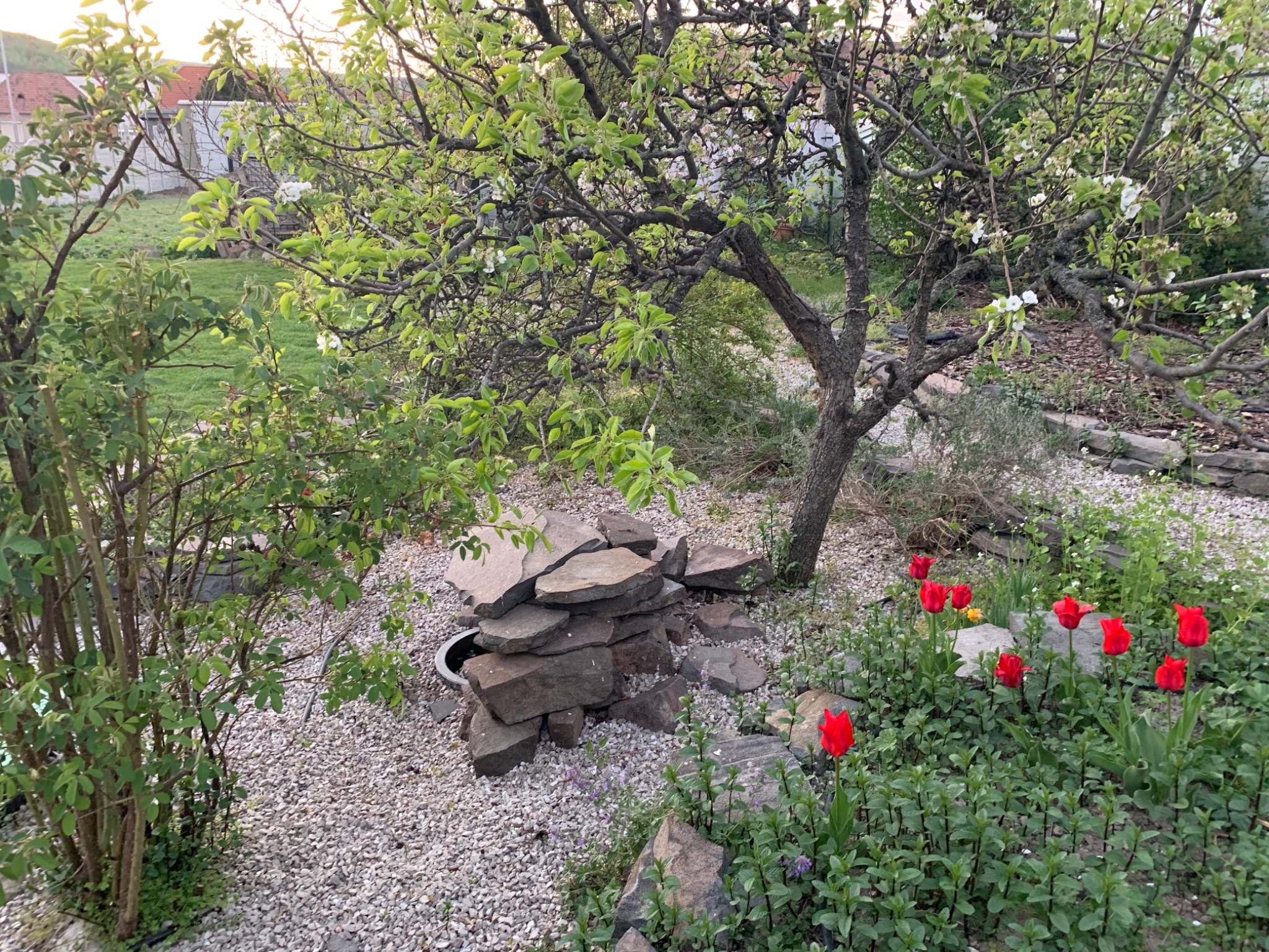 37BB7E27 6AD1 4059 8FA0 1D9538307543