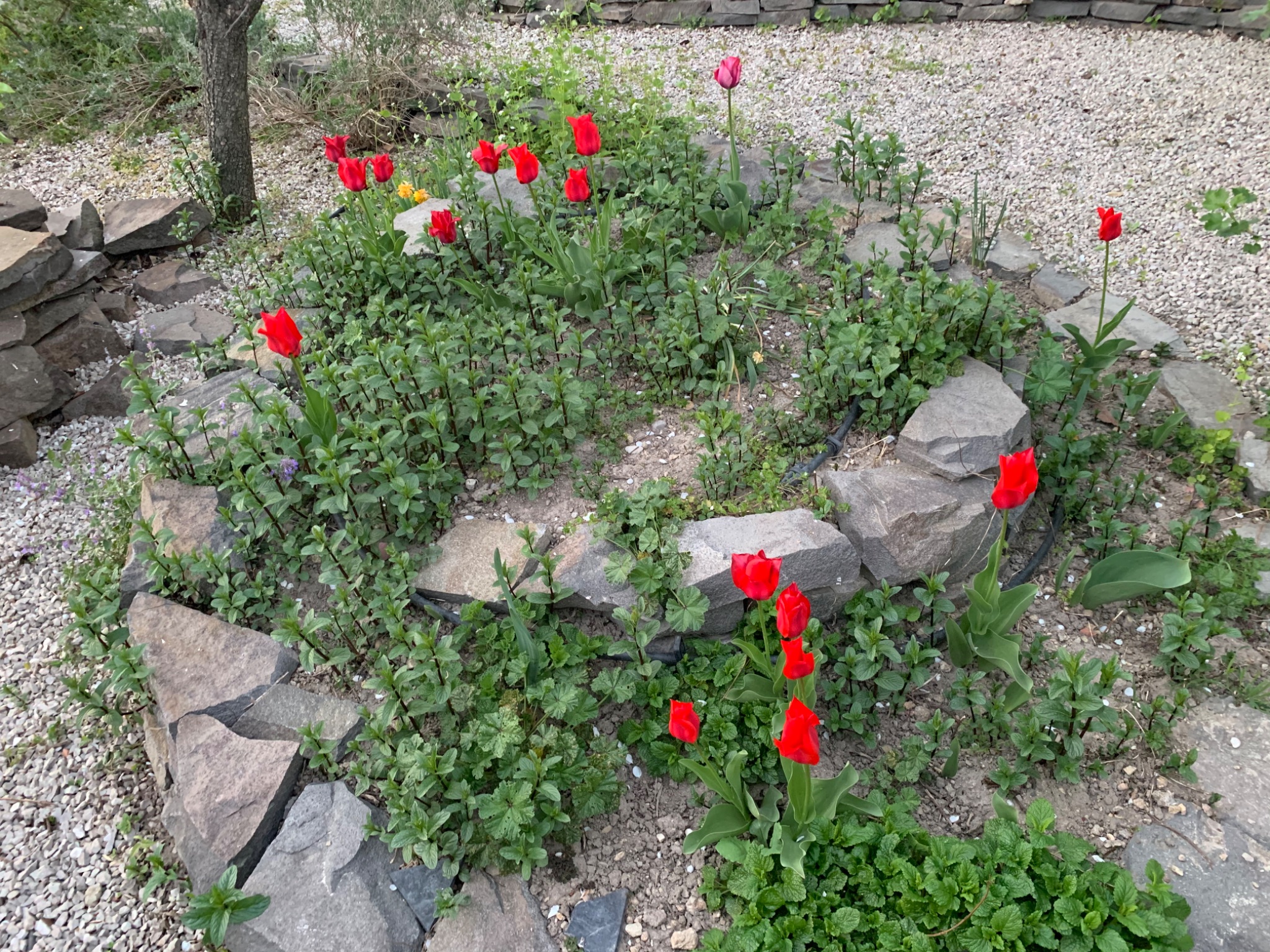 3E1B0083 D6A9 412E 8471 00304B1CF5D7