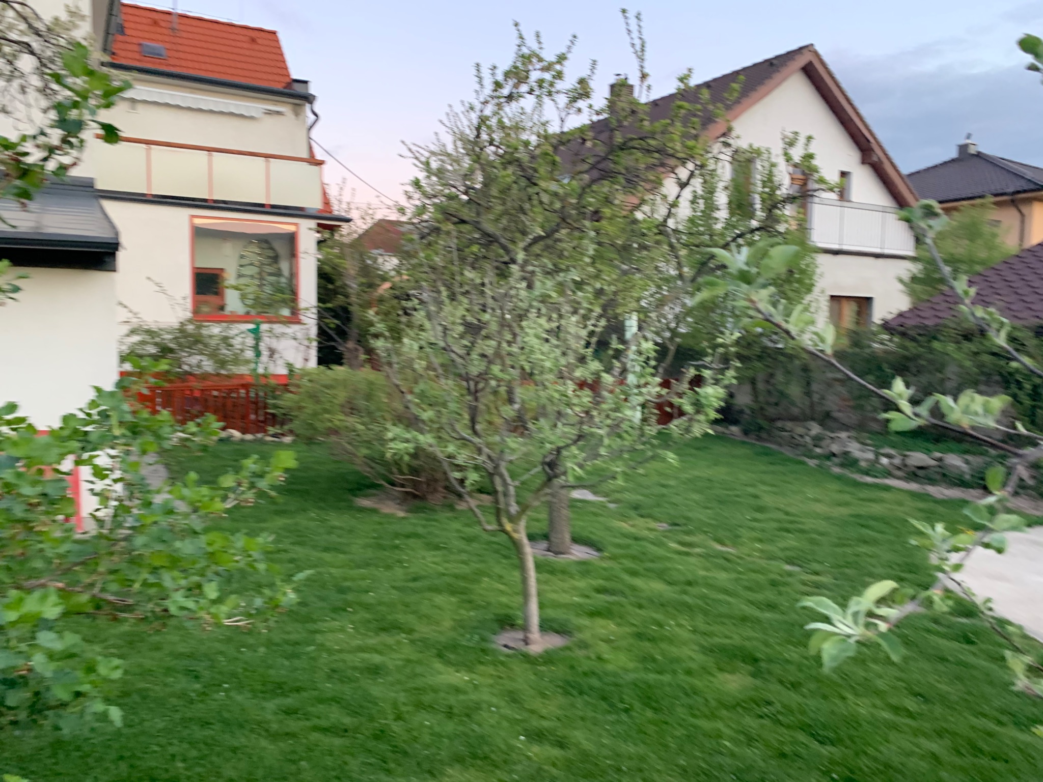 79F75A8F C029 428D AA5D 56B34E39BC9F