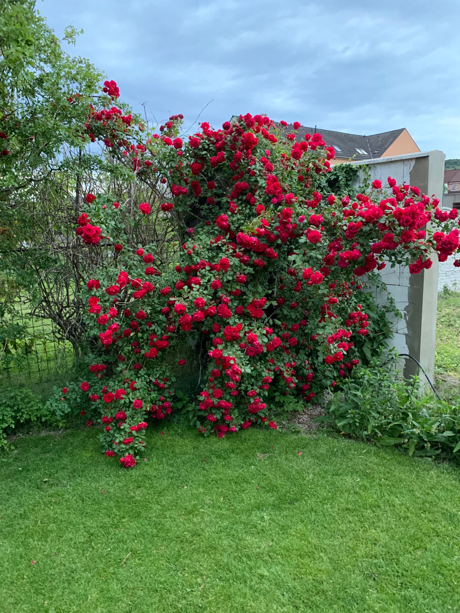 B943CAB3 D8CD 47F6 B52C 087545B09FE0