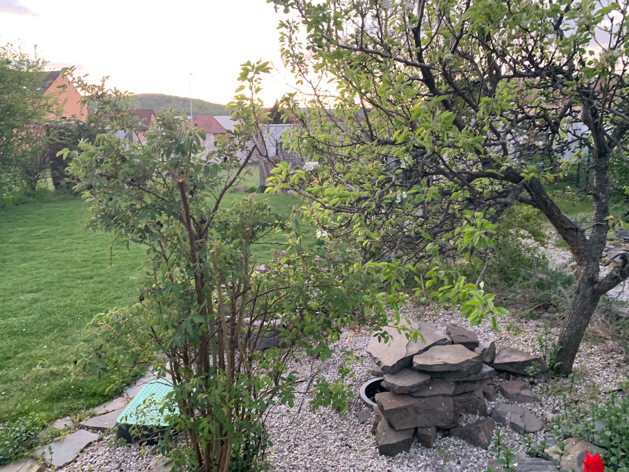 E04FC335 2885 4ACA A4E0 A8B8C8C6D9A0