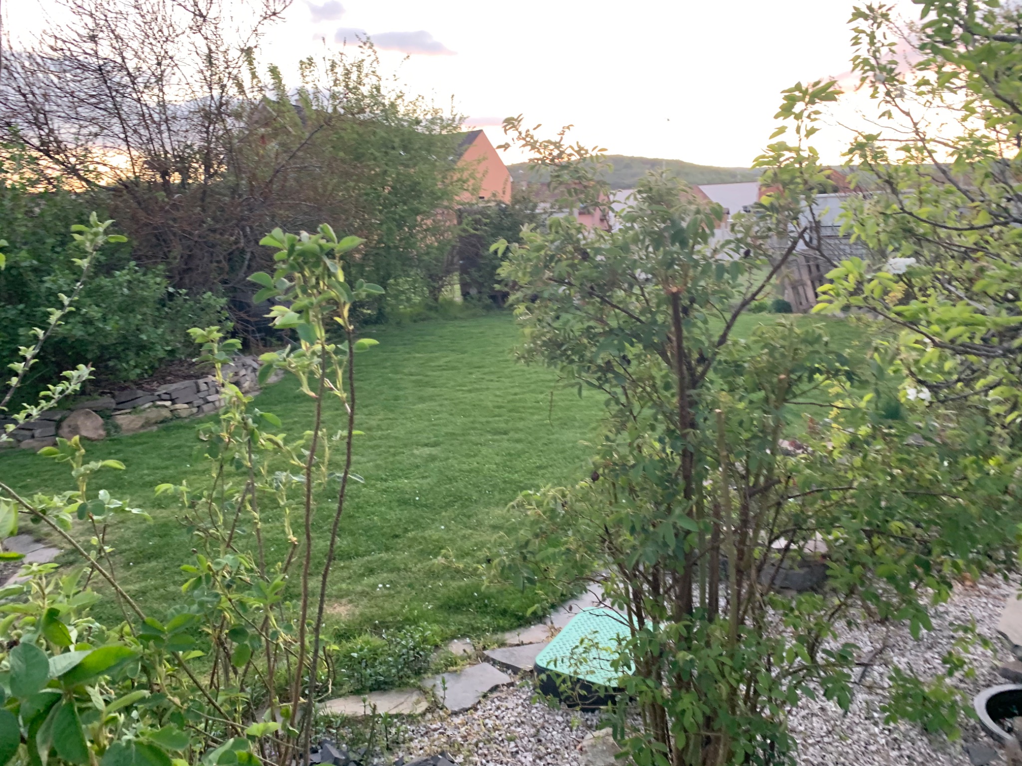 FDD362B6 C407 49B6 9C29 D49716DBF35B