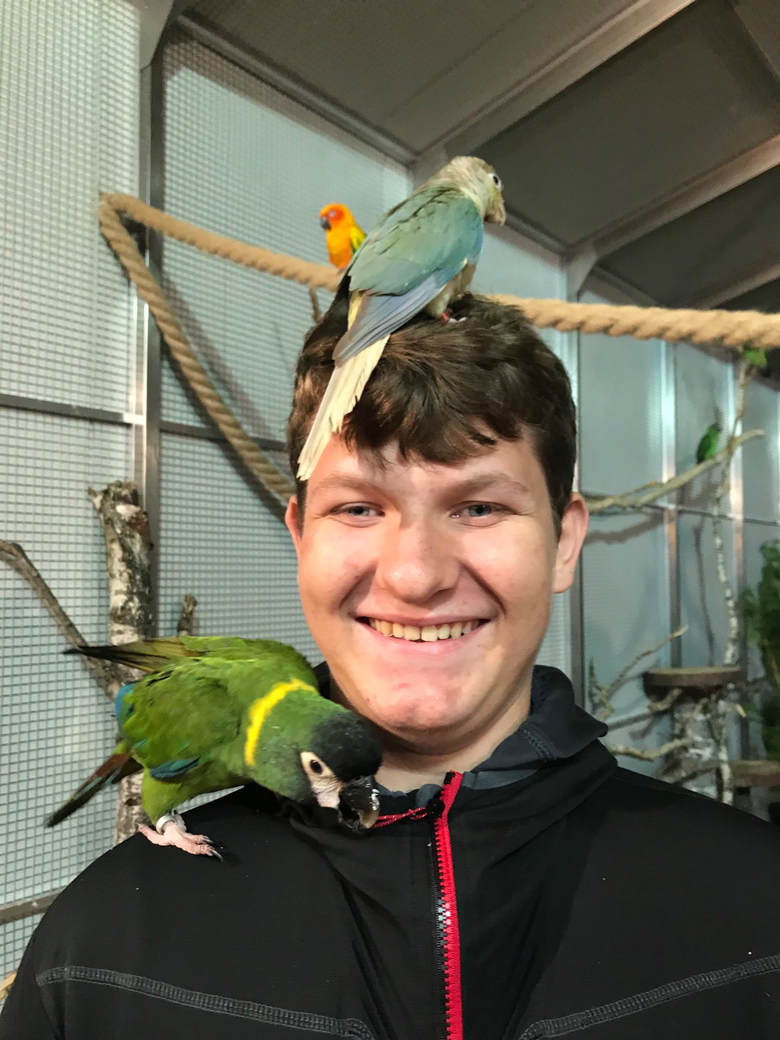 2DD01682 10E5 42A0 8EE8 6BA015F9D775