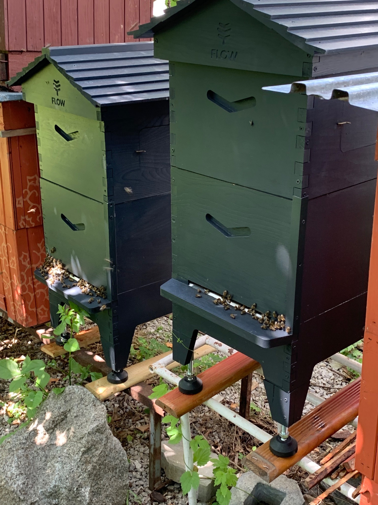 04FBD085 B846 47D0 9F3D 01EA0AF7ED6B