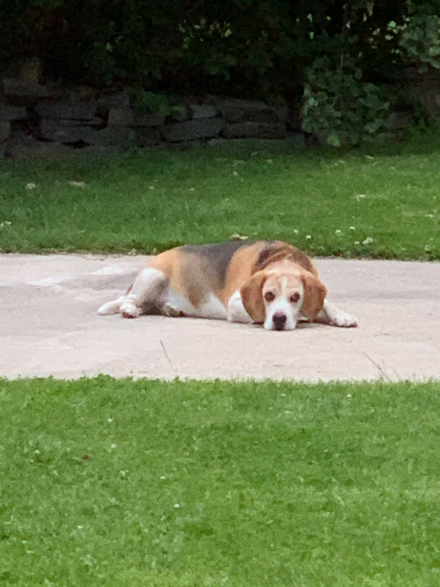 08D0EF07 A47F 4108 A612 89F423D7DA5B