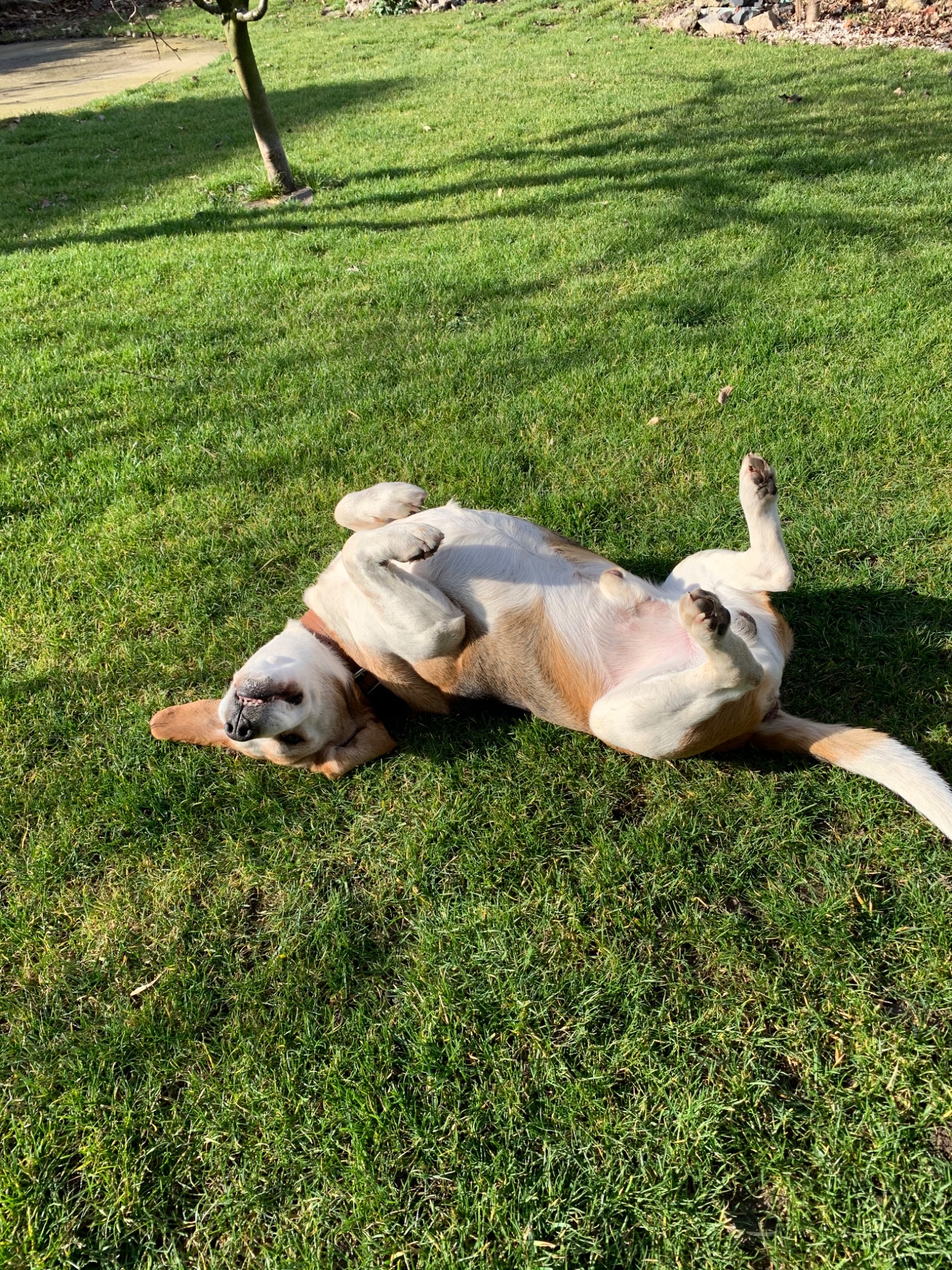 0F58CCBF 9129 44F9 812A A49BF326AD88