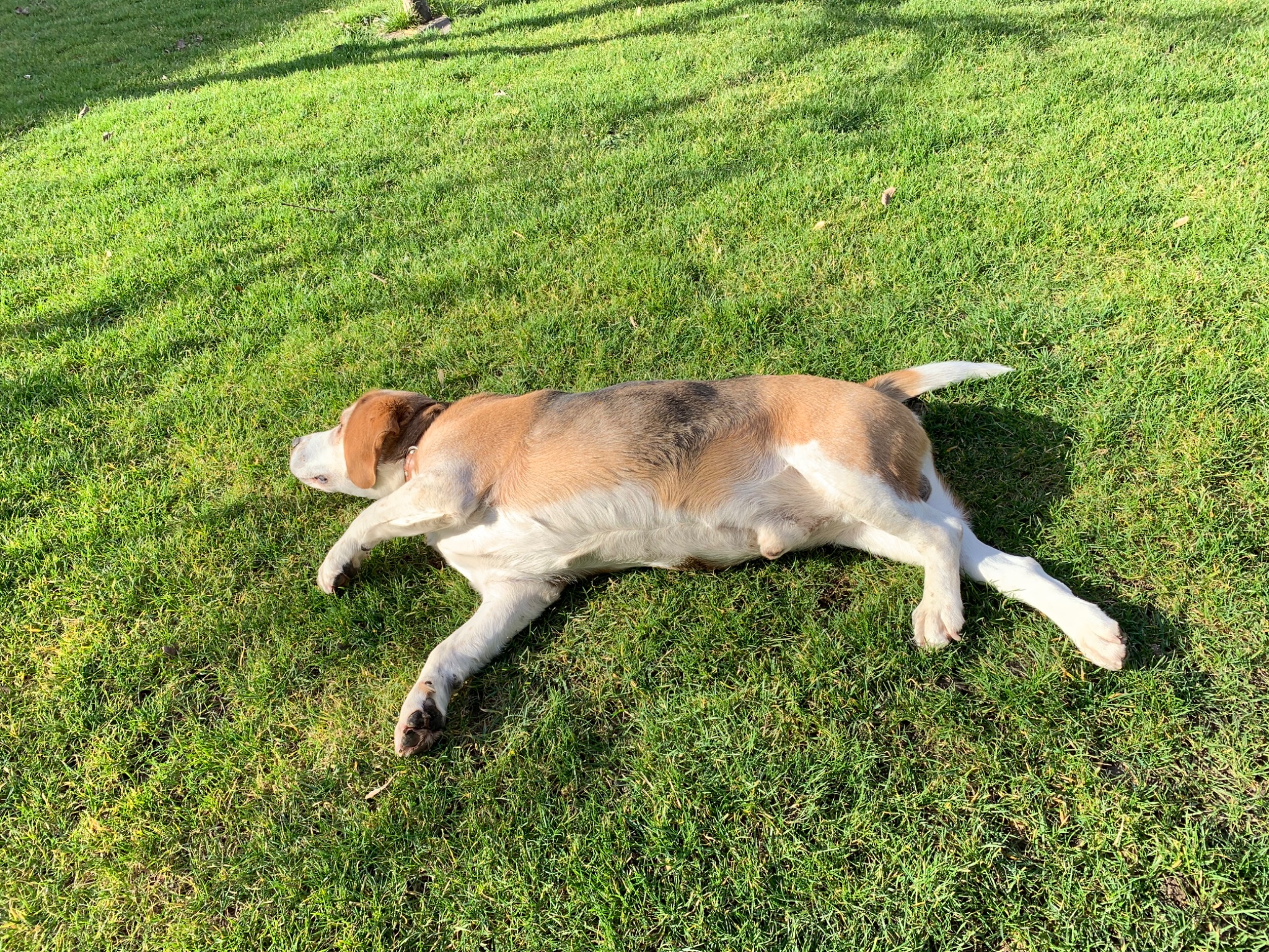 3D497D76 4996 40C3 8B05 5948A5B22C7F