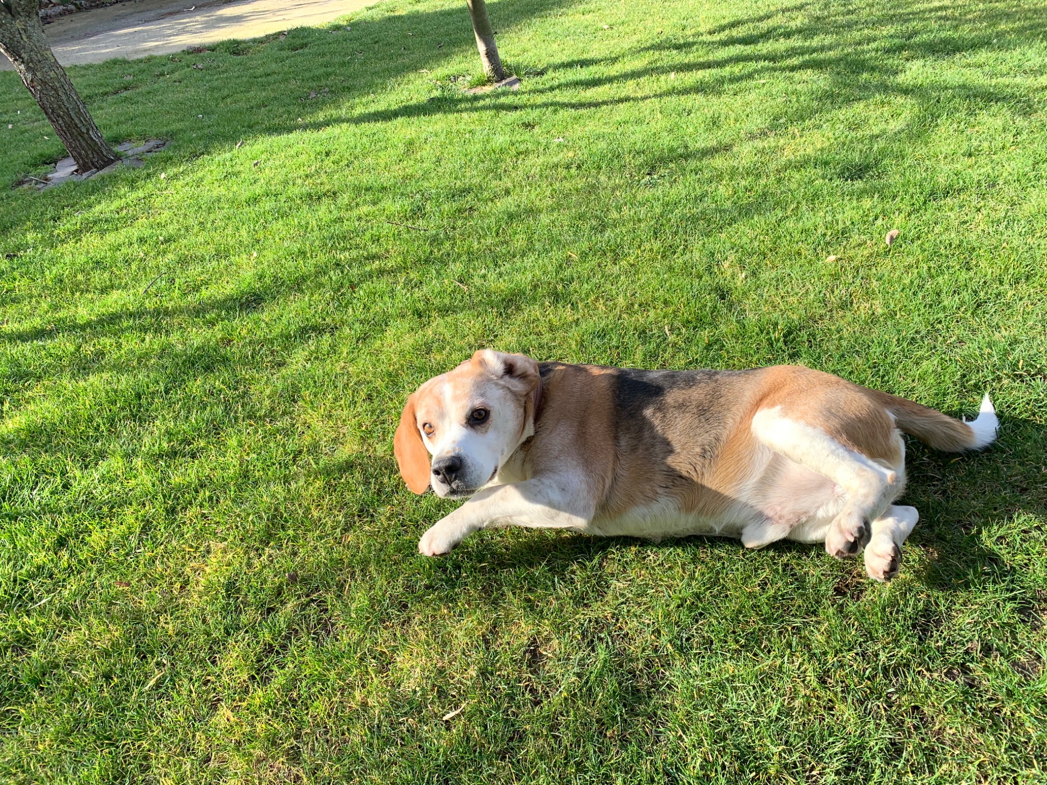 A0B1FF6B 8398 49CC B3FE 287DA5ADBAAC