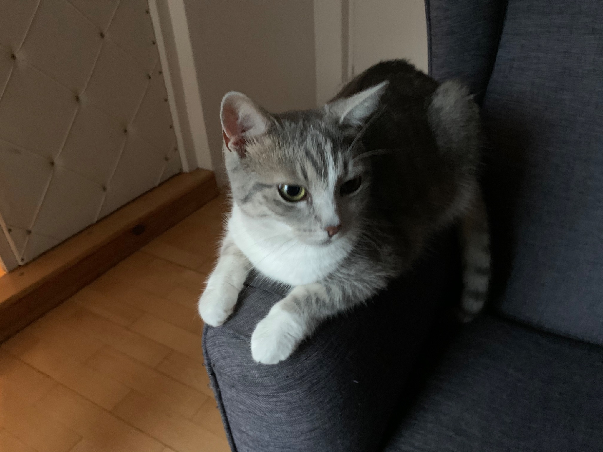 D59E8959 6C05 4EE8 81BC 1ED8ACB8AD09